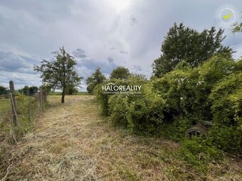 HALO reality - Predaj, rodinný dom Vinica - EXKLUZÍVNE HALO - 5