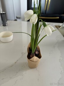 Dekorácia - umelý tulipán a snežienka z Depot-u - 5