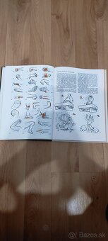 Predám knihu KARATE - 5