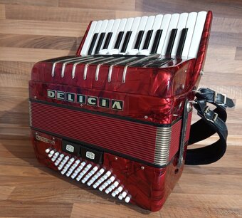 Akordeon, harmonika, heligonka - 5