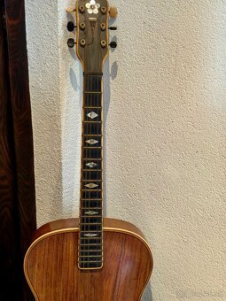 Gitara CREMONA od Bräuera - 5