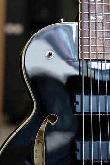 Washburn AB-95 - 5