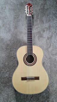 Gitara Pasadena cg1 - 5
