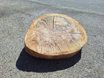 dubové koláče, priečne rezy - 5