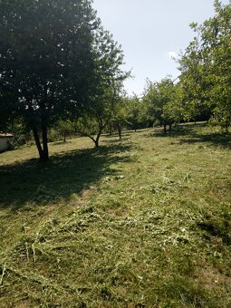 Kosenie záhrad a pílenie dreva - 5