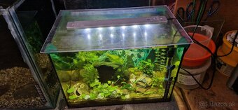 Akvárium 52 l zariadené - 5
