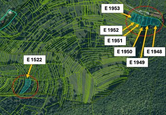 Omastiná – 9.909 m2 LESY a PASIENKY – PREDAJ - 5