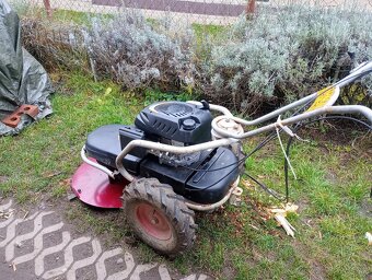 Dakr bubnova kosacka - 5