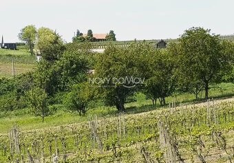 NA PREDAJ - vinice, obec Strekov, výmera 5659 m2 - 5