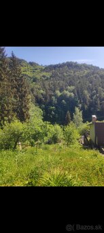 Záhrada s výhľadom v Riečke – predám aj pod cenu - 5