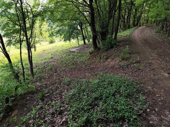 Predám pozemok v k.ú. Dolná Súča 1482m2 - 5