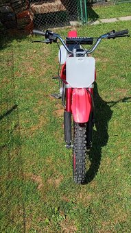 Pitbike Ranger 125 cc 17/14 - 5