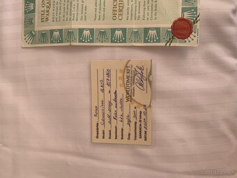 Rolex Submariner Date Two Tone - 5