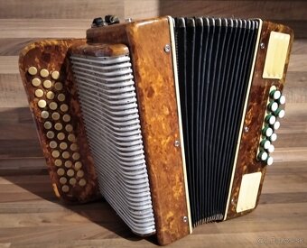 Akordeon, harmonika, heligonka - 5