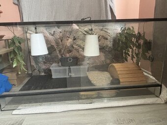 predám terarium - 5