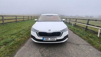 Škoda Octavia IV, 2.0 TDI 110KW, DSG - 5