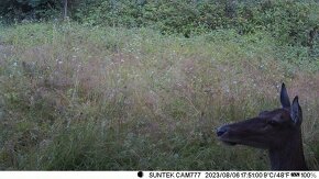 Fotopasca SUNTEK HC801M + náhradná batéria - 5