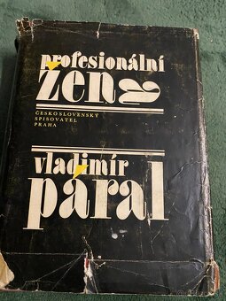 Páral Vladimír - 6x román - 5