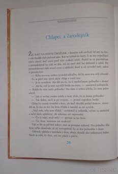 Rozmarínový kríček (Maja Boskovic - Stulli) - 5