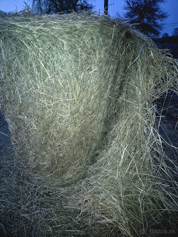 seno okrúhle balíky 130x130 - 5