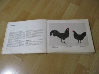 Atlas plemien hydiny - 5