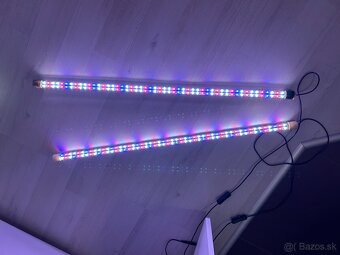 Diversa LED osvetlenie Expert Color 24 W 90 cm - 5