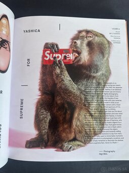 All gone kniha (Bored Ape) - 5