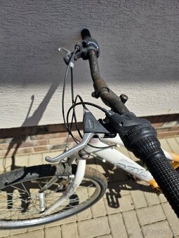 Dámsky bicykel - 5