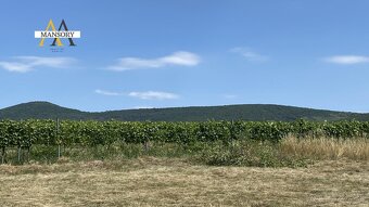 Na predaj vínny dom s vinicami a vínnymi pivnicami 13974 m2 - 5