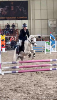 mladá perspektivní pony holčička - 5