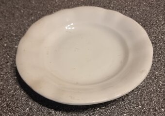 Hrubostenné taniere - 5