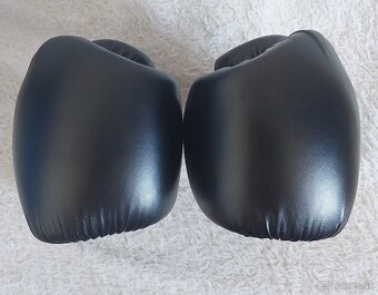 rukavice na box EVERLAST - 5