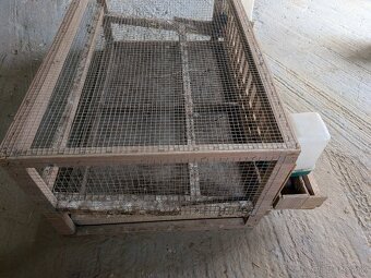 Klietka na prepelice - 5