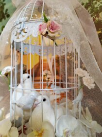 Vypustenie svadobných holubov - 5