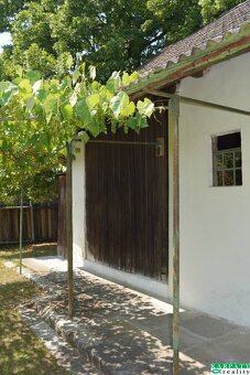 Chalúpka v typickom štýle Záhoria, pod starou lipou - 5