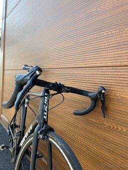 Giant TCR advanced - 5