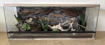 Terárium 100x40x40 s 3D stenou - 5