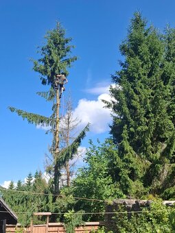 Rizikove pilenie, vyrub, arboristika, pilčicke prace - 5
