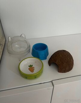 Terarko terarium so škrečkom skrecok agama gekon - 5