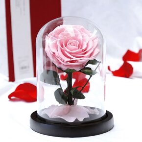 Živá stabilizovaná ruža v skle - "Medium" - viac farieb - 5