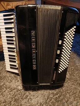 Delicia Carmen V. 96 bass - 5