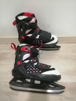 CRANE hviezdičkové - 5