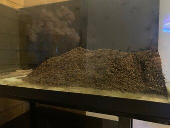 Substrát Japanese soil powde - 5