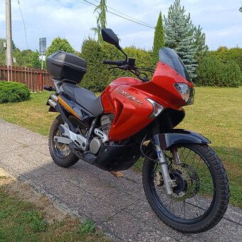 Honda Transalp 650 - 5