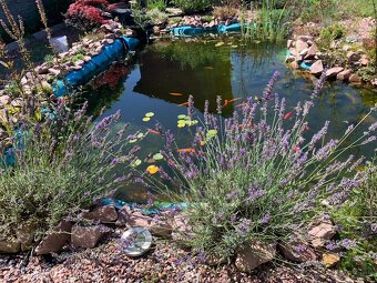 Rodinný dom s veľkorysou záhradou a parkovaním - 5