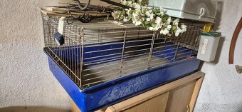 Predam klietky na kurčata alebo ine hlodavce - 5