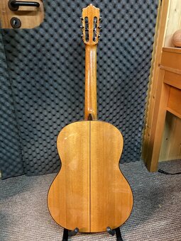 Klasická gitara Martinez MFG-SA - 5