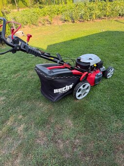 Hecht 5464 SXE - 5