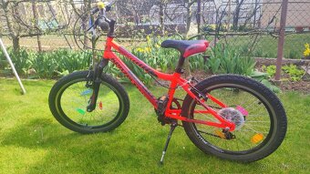 Kenzel roxis "20 - 5