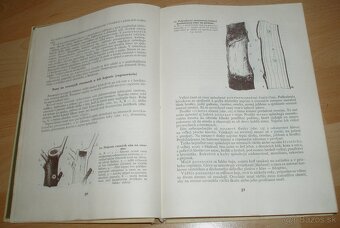 Štepenie, očkovanie a preštepovanie drevín - 5